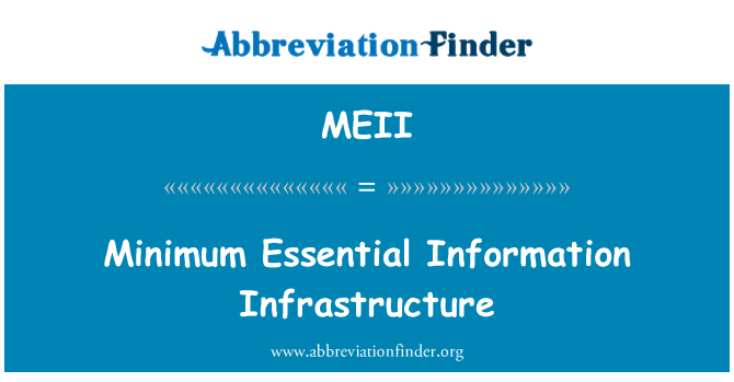 MEII: Minimālais būtiskas informācijas infrastruktūra