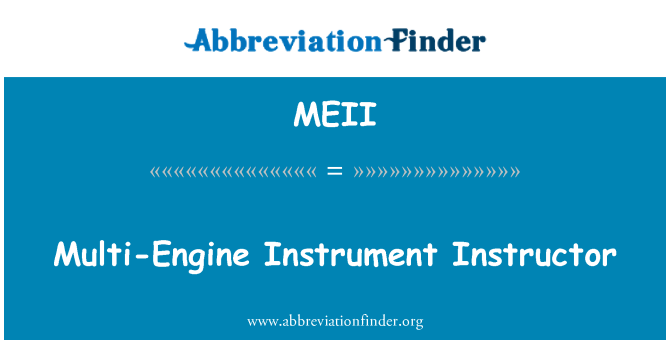 MEII: Mehrmotorigen Instrument Instructor