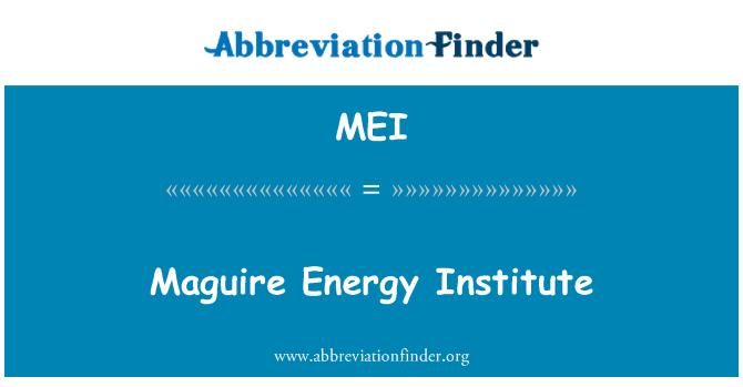 MEI: Institut energetické Maguire