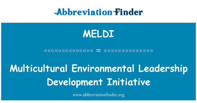 MELDI: 다문화 환경 리더십 개발 이니셔티브