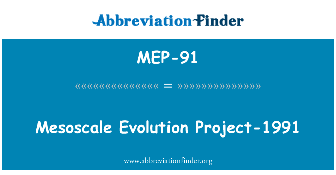 MEP-91: Mezoreliéfu vývoj projektu-1991