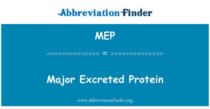 MEP: Principale proteina escreto