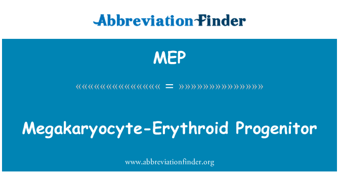 MEP: Nenek megakaryocyte-Erythroid