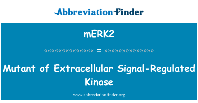 mERK2: Mutant izvanstaničnog signala regulirane kinaze