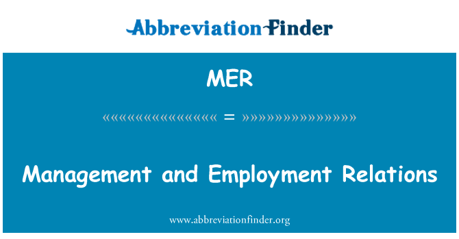 MER: Juhtimis- ja töösuhete