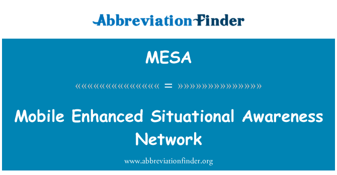 MESA: Mobile Enhanced Situational Awareness Network