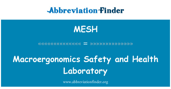 MESH: Macroergonomics 安全和衛生實驗室