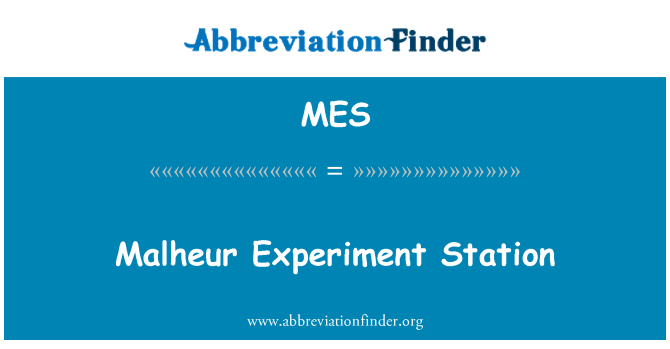 MES: Malheur Experiment stanice