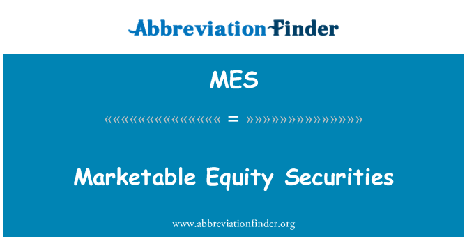 MES: 시장성 지분 증권
