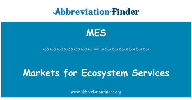 MES: أسواق لخدمات النظام الإيكولوجي