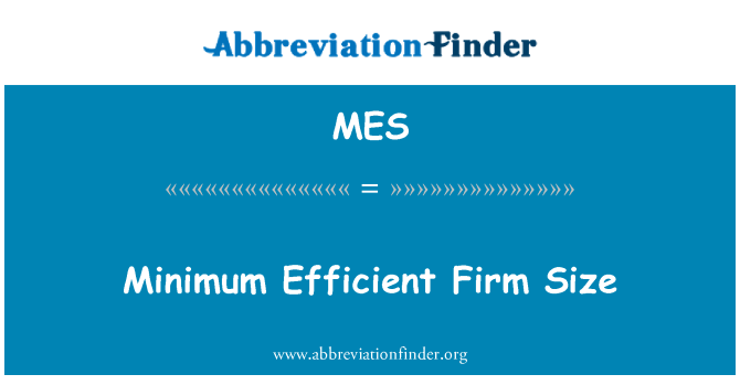 MES: 最小の効率的な企業規模