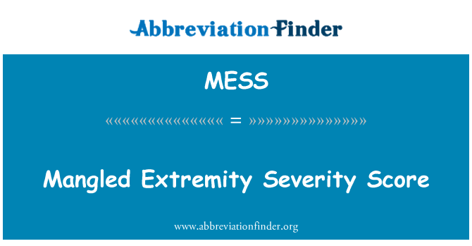 MESS: Mangled Extremity Severity Score