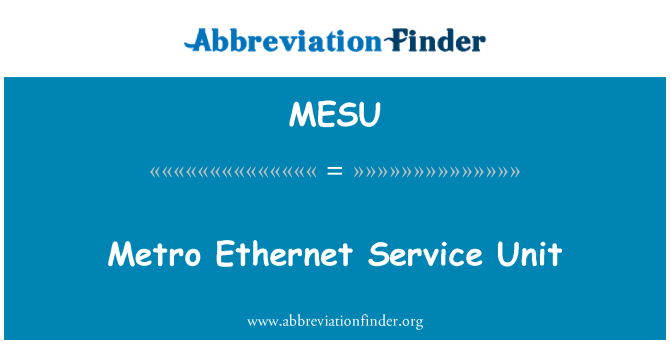 MESU: Metro Ethernet Service-Einheit