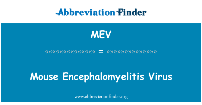 MEV: Pelės encefalomielito virusas