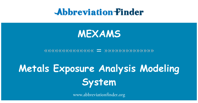 MEXAMS: Metalle-Exposure Analyse System Modellierung