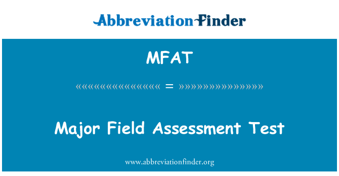 MFAT: Główne pole oceny testu