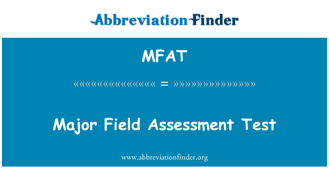 MFAT: מבחן הערכת ראשיים