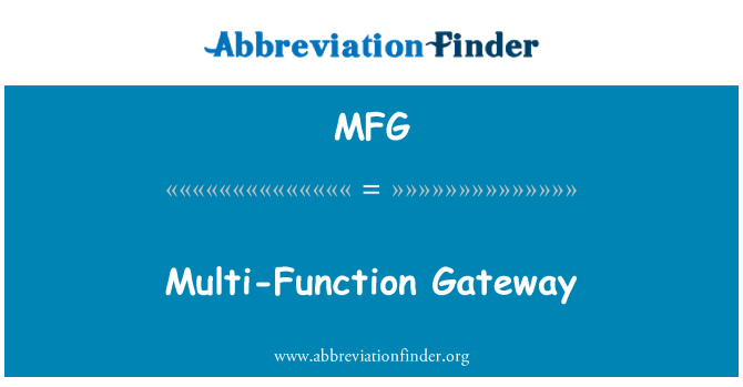 MFG: Multi-Function Gateway