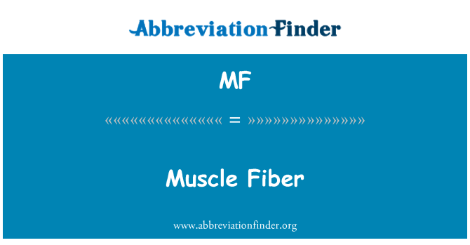 MF: فیبر عضلانی