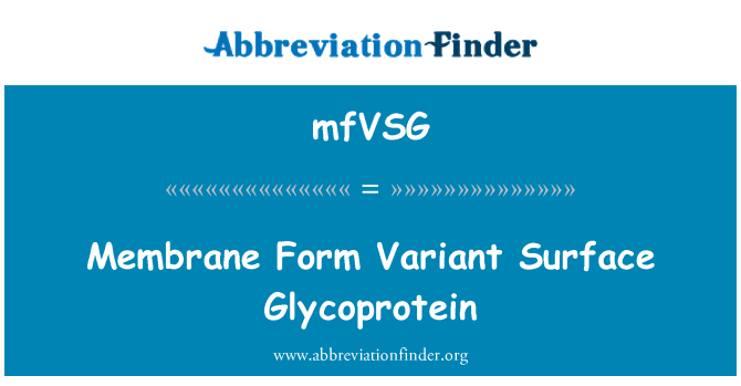 mfVSG: Membran skjemaet Variant overflaten glykoprotein