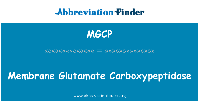 MGCP: Membrane Glutamate Carboxypeptidase