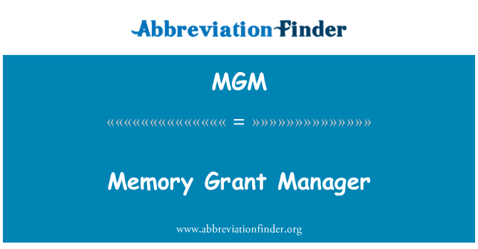 MGM: Memória támogatás igazgató