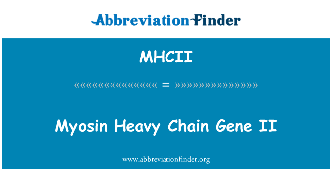 MHCII: Myosin tqal katina tal-ġene II