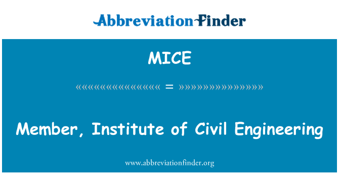 MICE: Member, Institute of Civil Engineering