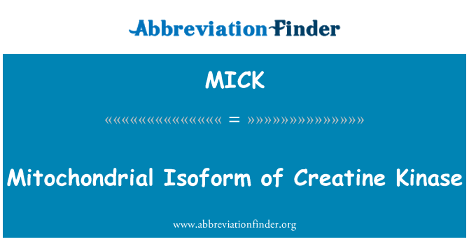 MICK: Mitochondrial Isoform de Créatine Kinase