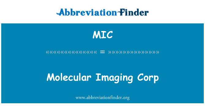 MIC: Molekyyli Imaging Corp