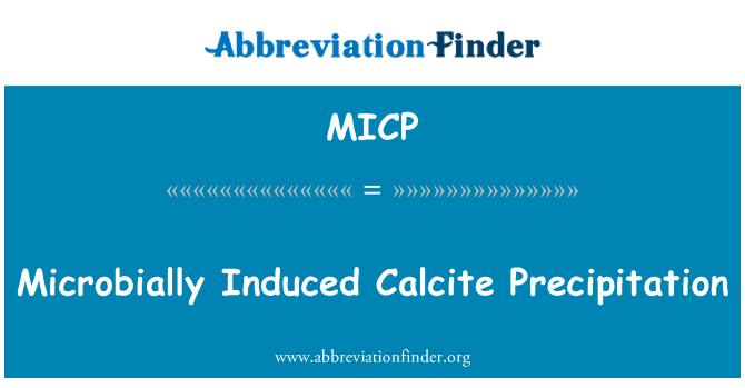 MICP: Calcite par microbially Précipitations