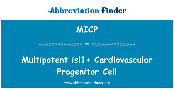 MICP: Multipotent isl1 + 심혈 관 조상 세포
