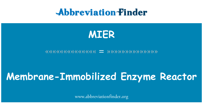 MIER: เครื่องปฏิกรณ์เอนไซม์ตรึงเมมเบรน