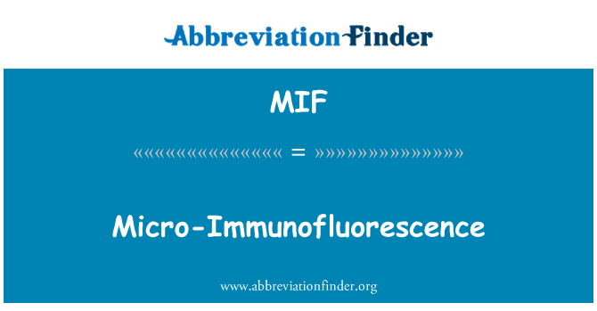 MIF: Mikro imunofluorescence