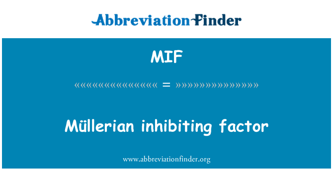 MIF: Müllerian inhibarea factorului