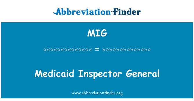 MIG: Medicaid arolygydd cyffredinol