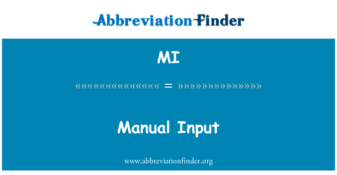 MI: Input manuale