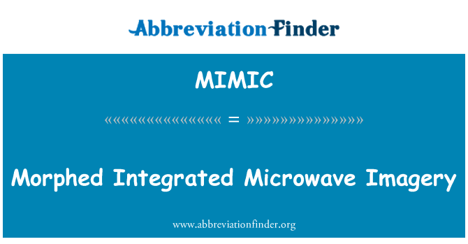MIMIC: Morfémy integrované mikrovlnné snímky