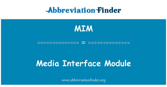 MIM: Modulu ta ' l-Interface tal-midja