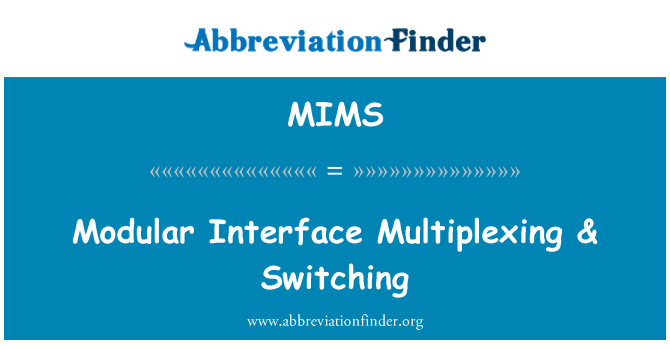 MIMS: Moduļu interfeisa multipleksēšanu & pārslēgties