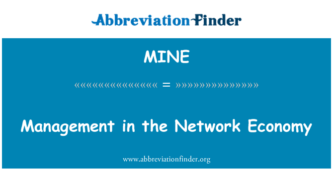 MINE: Management in the Network Economy