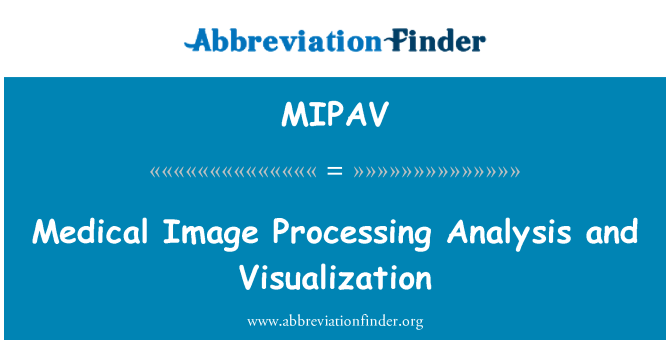 MIPAV: Medicinsk bildbehandling analys och visualisering