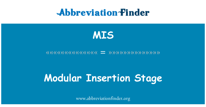 MIS: Modulare Insertion-Bühne