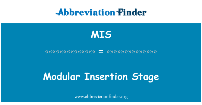 MIS: Модульні вставки етап