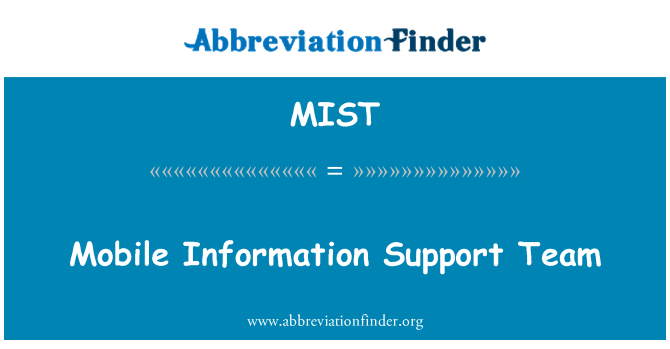 MIST: Mobile Information-Support-Team