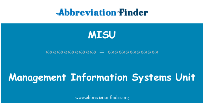 MISU: Infosüsteemid üksus