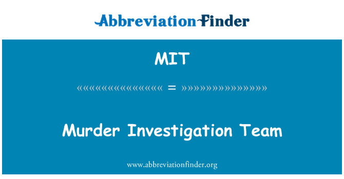 MIT: فريق التحقيق في اغتيال
