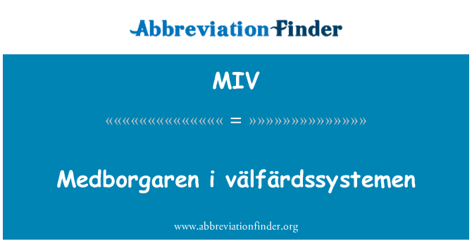 MIV: Medborgaren m välfärdssystemen