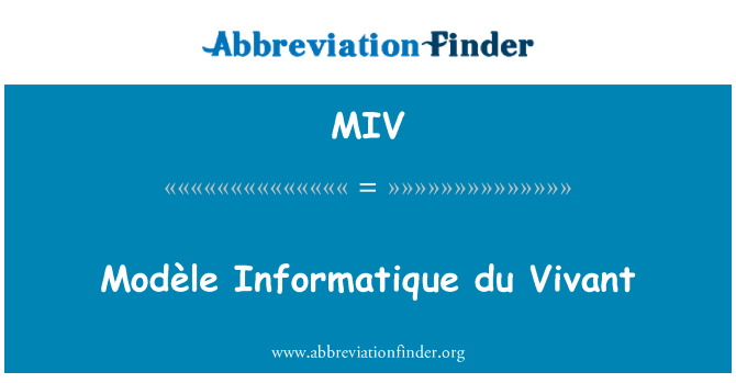 MIV: ModÃ¨le Informatique du Vivant