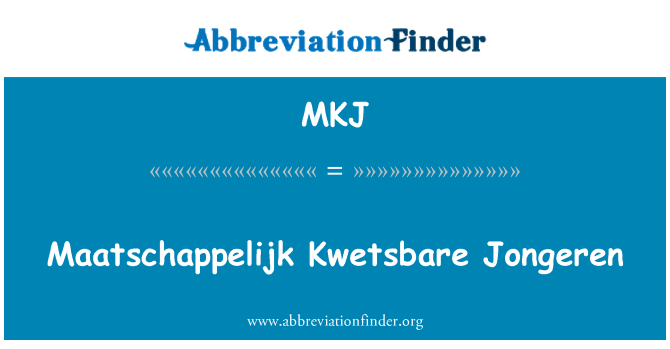 MKJ: Maatschappelijk Kwetsbare 海爾